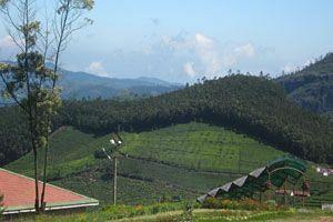Doddabetta Resort Ooty Exterior foto
